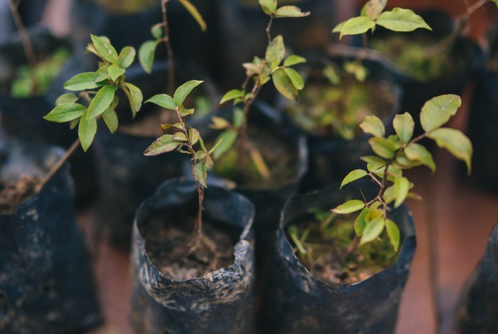 De Heus lança Jornada da Sustentabilidade 2025 e fortalece compromisso ambiental e social