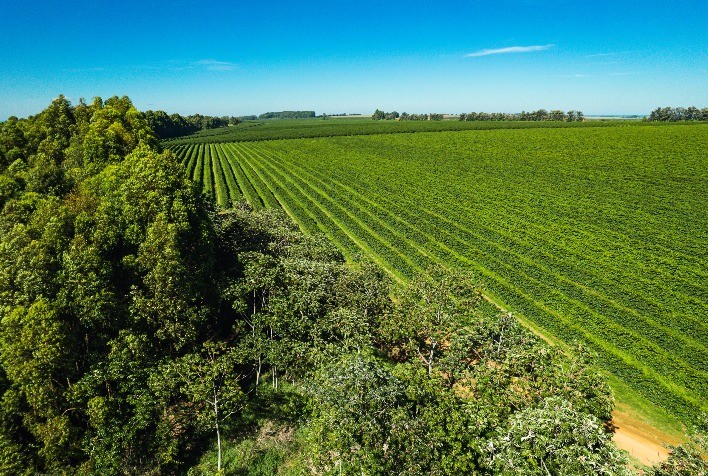 Café do Cerrado Mineiro ganha irrigação inteligente em parceria entre xFarm e Consórcio Cerrado das Águas