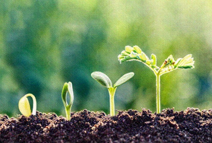 Bioinsumos ganham espaço no campo com foco em segurança, eficiência e sustentabilidade