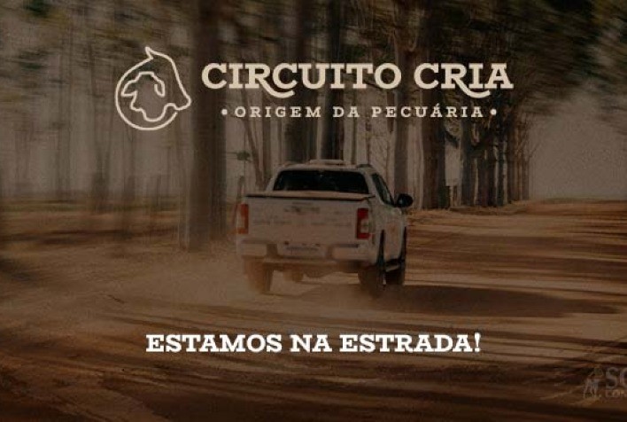 Circuito Cria 2025: Scot Consultoria percorre o Brasil para mapear estratégias e desafios da produção de bezerros