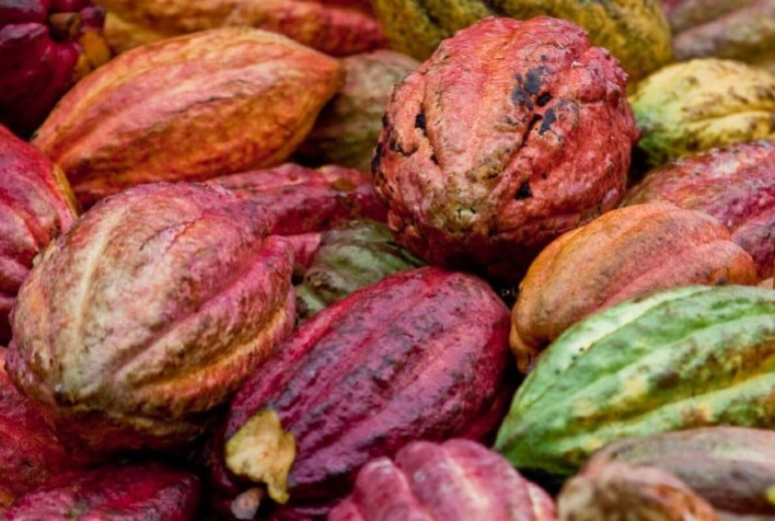 Produção agrícola da Bahia bate recorde histórico e sobe para 7ª posição nacional