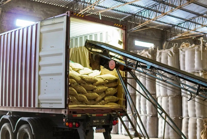 Exportações brasileiras de café caem em volume, mas receita cresce em meio a tarifas dos EUA