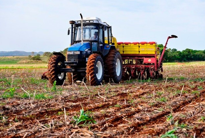 Plantio de soja atinge 14% no Brasil com avanço recorde no Paraná; milho verão chega a 45%, aponta AgRural
