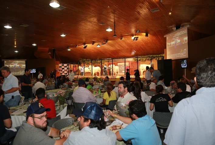 Expoinel 2025 em Uberaba terá nove leilões e shopping com genética de ponta do Nelore
