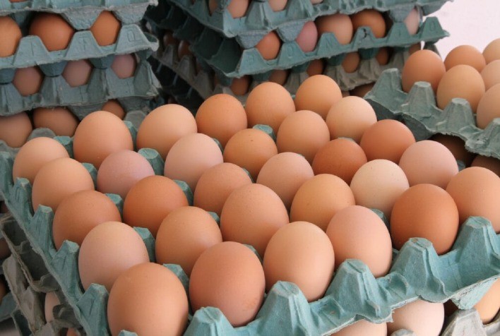 Goiás amplia produção de ovos em 65,7% e reforça presença no mercado interno e nas exportações