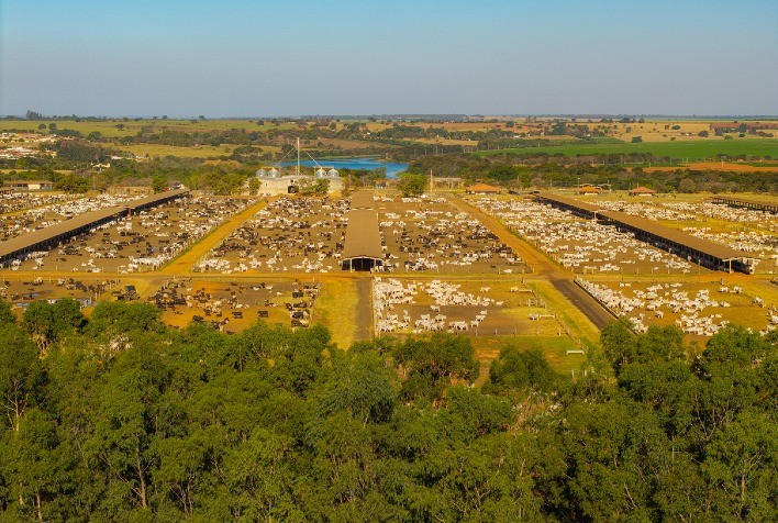 MFG Agropecuária ultrapassa marca histórica de 3,5 milhões de bovinos abatidos