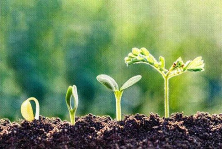 Cresce o uso de bioinsumos no campo: estratégias e confiança impulsionam o mercado entre produtores rurais