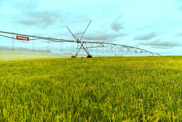 Setor de irrigação impulsiona indústria e fortalece agronegócio brasileiro