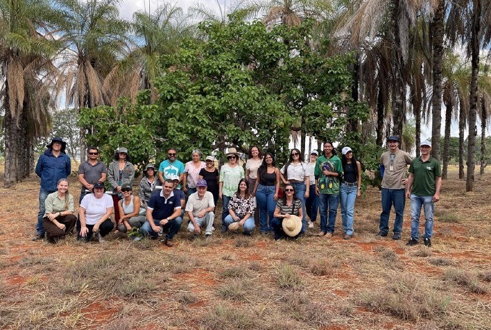 Embrapa Cerrados promove oficina sobre produção de mudas e uso de espécies nativas do Cerrado em sistemas integrados