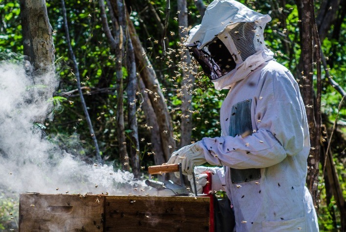 Montes Claros recebe 5º Congresso Mineiro e 22º Seminário de Apicultura com 1,5 mil participantes