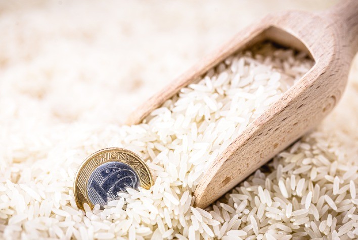 Safra 2025/26 do arroz começa com atrasos e preços em queda no Brasil