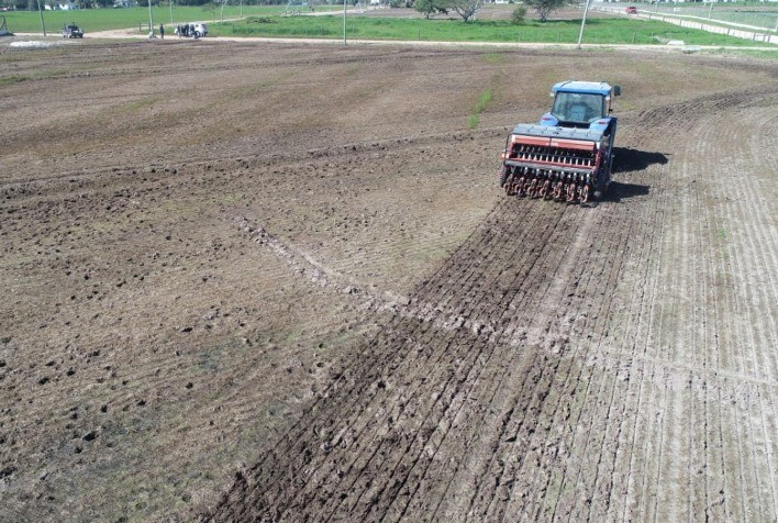 Plantio de arroz no Rio Grande do Sul avança para 38% da Safra 2025/2026, indica IRGA