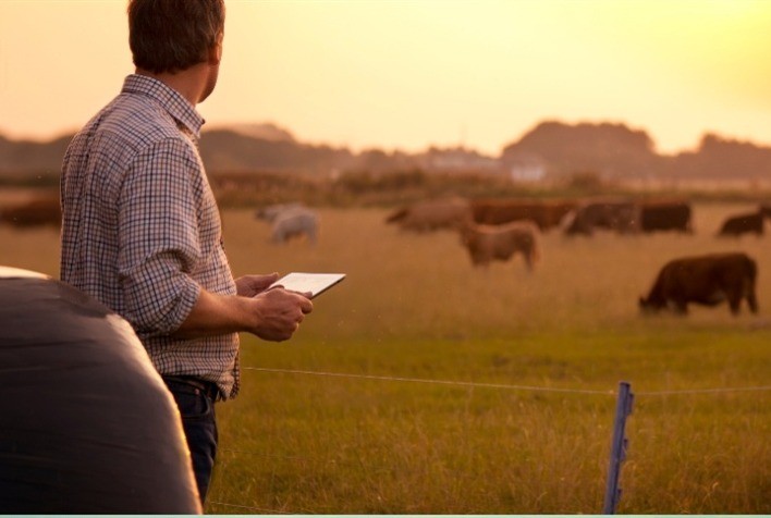 TJ-GO amplia conceito de bem essencial e fortalece proteção ao produtor rural