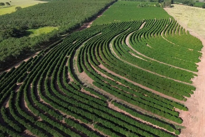 Café da Nova Alta Paulista conquista selo de Indicação Geográfica e ganha destaque no mercado