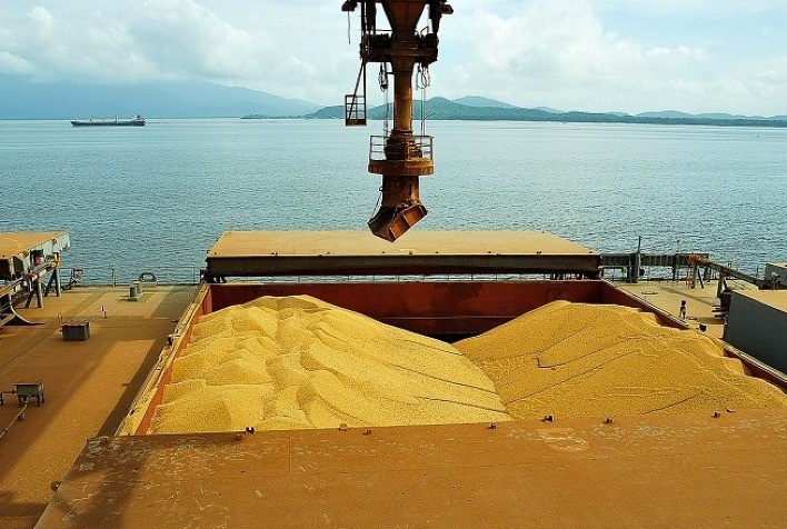 Exportações de grãos do Brasil mantêm estabilidade em outubro, aponta Anec