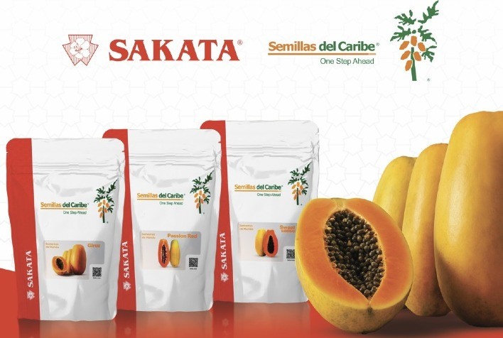 Sakata e Semillas del Caribe lançam co-branding para transformar o mercado de mamão no Brasil