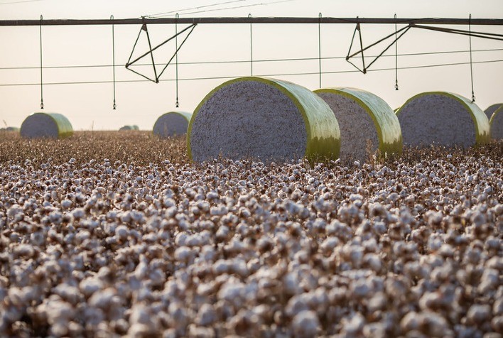 ACP Bioenergia e Germina Baixio firmam parceria para produção irrigada de grãos e algodão na Bahia