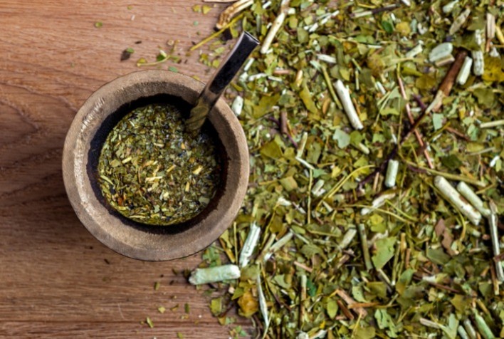 Erva-mate se consolida como cultura estratégica no interior do Paraná