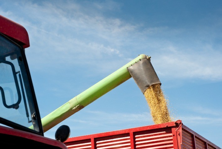 Bahia se destaca no agronegócio nacional com sete cidades entre as maiores produtoras do Brasil
