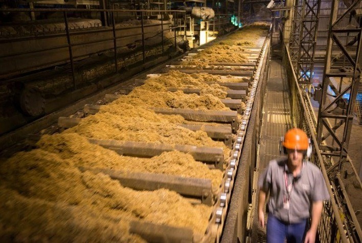 Raízen: Moagem de Cana Atinge 35,1 Milhões de Toneladas no 2º Trimestre da Safra 2025/26