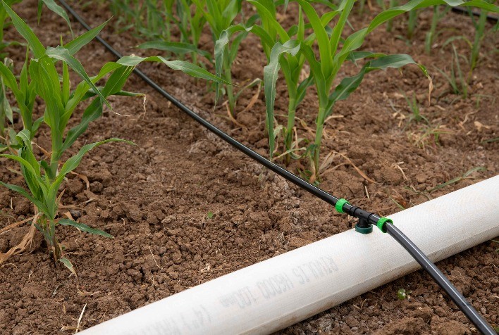 Irrigação por Gotejamento Reduz Emissões de Gases do Efeito Estufa e Aumenta Sustentabilidade na Agricultura