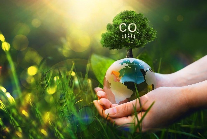 Plataforma de Leilão Facilita Compra e Venda de Créditos de Carbono Direto de Quem Preserva Florestas Nativas