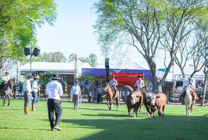 Farm Show em Dom Pedrito destaca campeões das raças Hereford e Braford