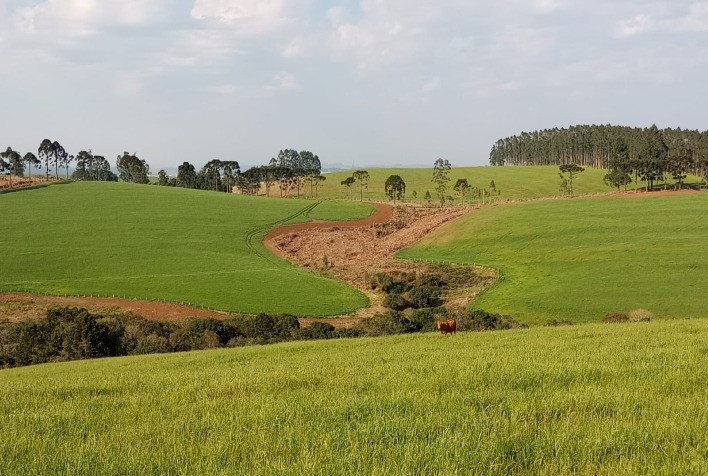 Agrotools e Syngenta lançam parceria para recuperar 1 milhão de hectares de pastagens até 2030