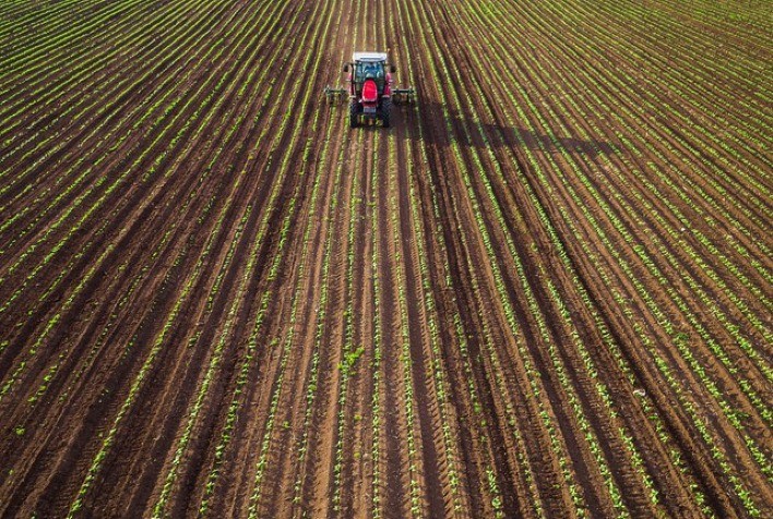 Soja avança para 36% do plantio no Brasil, mas Cerrado segue em alerta por falta de chuva