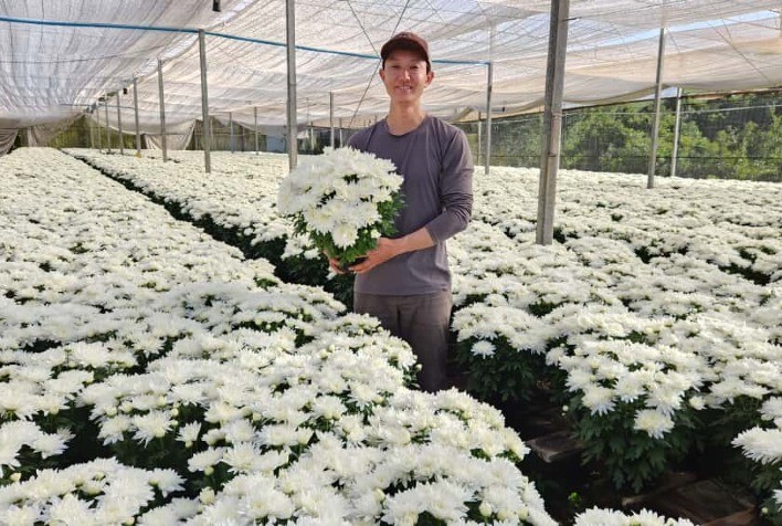 Finados impulsiona setor de flores com expectativa de alta nas vendas em 2025