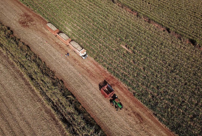 Paraná lidera crescimento econômico em agosto e supera média nacional