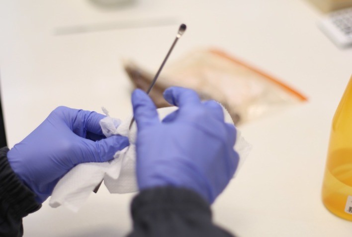 Mercado de Bioinsumos no Brasil Avança com Novas Cepas e Tendências Genéticas