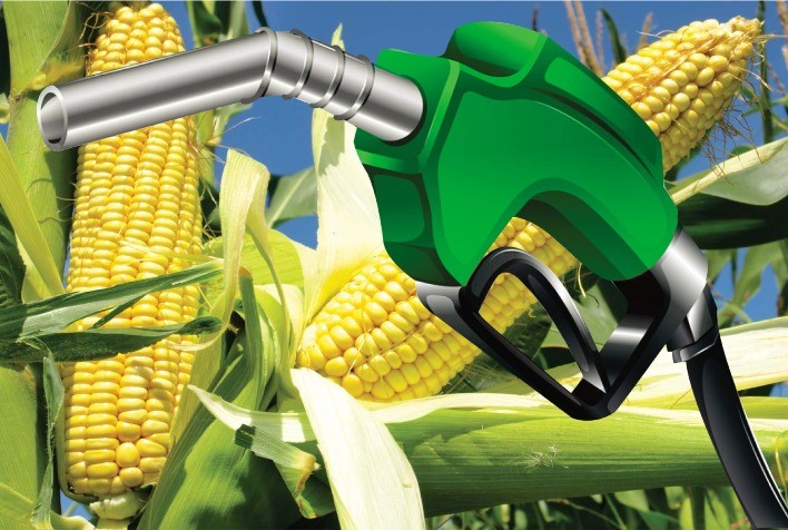 Expansão do etanol de milho pressiona preços do açúcar e desafia usinas de cana no Brasil