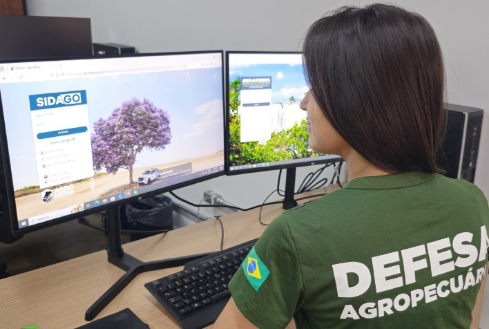 Goiás inicia segunda etapa da Declaração de Rebanho 2025 neste sábado