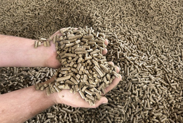 Empresa transforma borra de café em biomassa e cria pellets como biocombustível sustentável