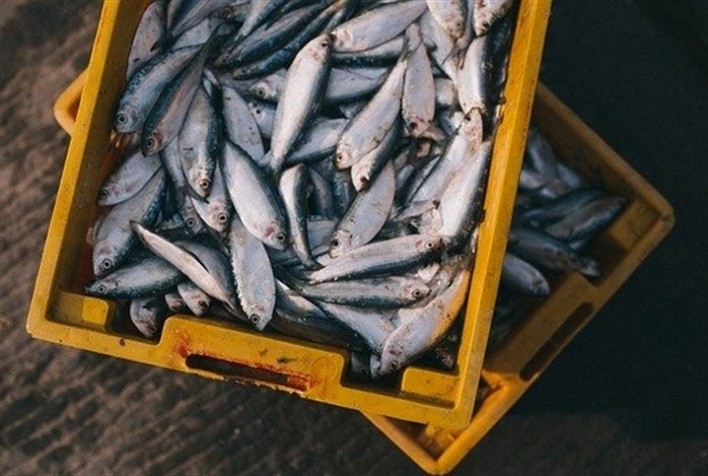 Brasil amplia presença internacional com novas aberturas de mercado na Malásia e em Burkina Faso