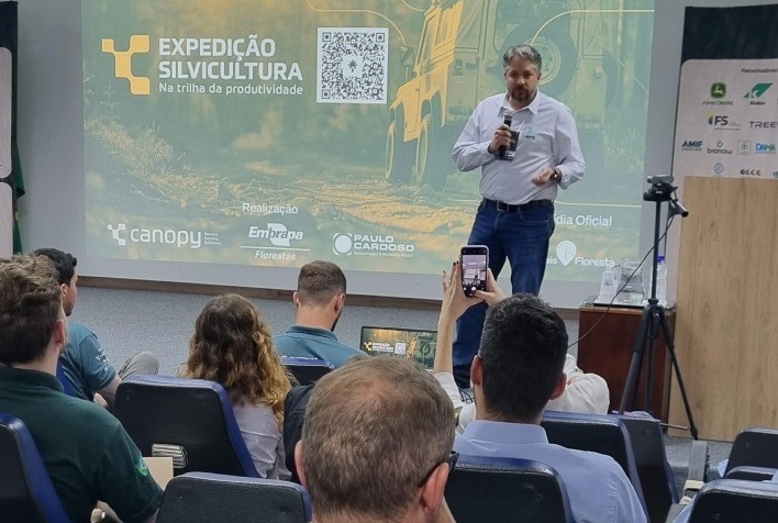 Paraná registra crescimento de 24% no setor florestal e mantém segunda posição nacional