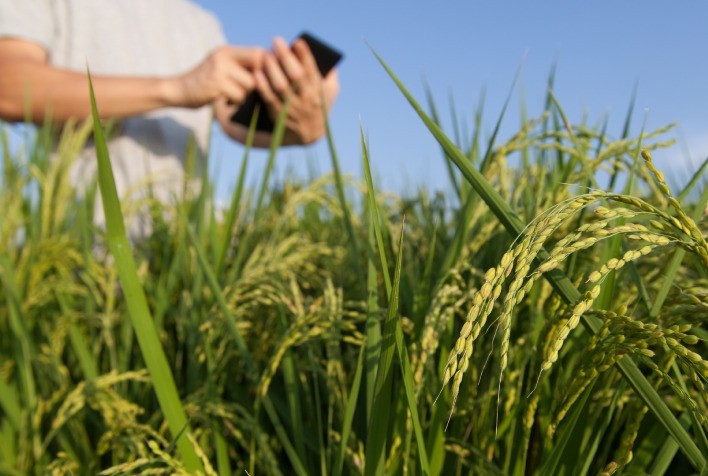Reforma tributária eleva riscos jurídicos no agronegócio, alerta especialista