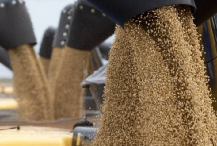 Mercado da soja oscila entre incertezas globais e avanços regionais no Brasil