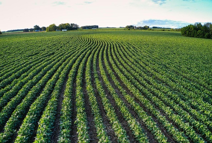 Tecnologia do setor elétrico pode transformar o agronegócio brasileiro com IA e Visão Computacional