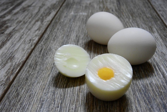 Setor de ovos no Brasil enfrenta desafios de custos, produtividade e bem-estar animal