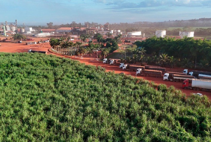 Após recorde histórico, Pagrisa projeta nova expansão na produção de açúcar e etanol no Pará
