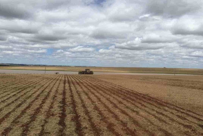 Chuvas irregulares atrasam plantio da soja no Tocantins e preocupam safra de milho safrinha 2026