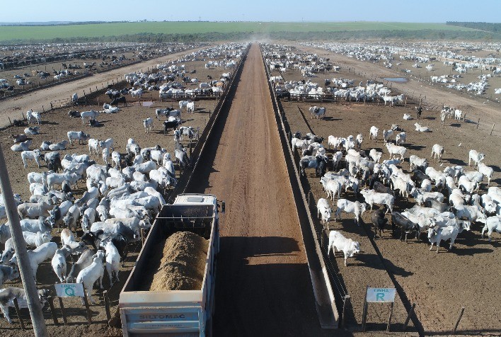 Parcerias de engorda fortalecem confinamento como extensão estratégica para fazendas de cria e recria