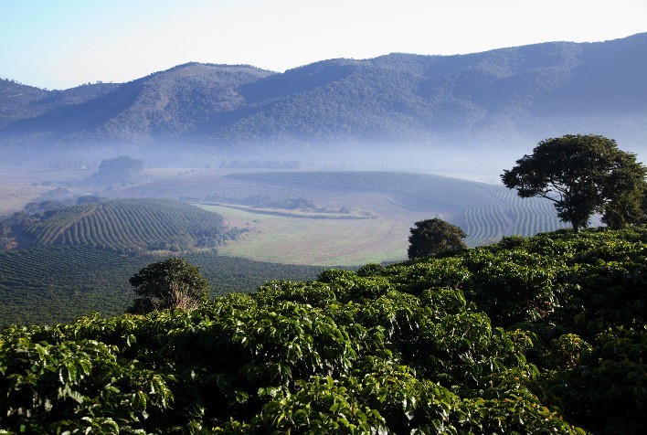 Compradores de 11 países visitam Mantiqueira de Minas para conhecer cafés especiais antes da SIC