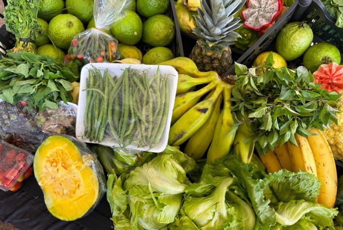 Goiás investe R$ 2,6 milhões para fortalecer agricultura familiar e beneficiar mais de 500 produtores rurais