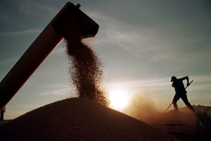 Paraná projeta colheita de 21,96 milhões de toneladas de soja na safra 2025/26