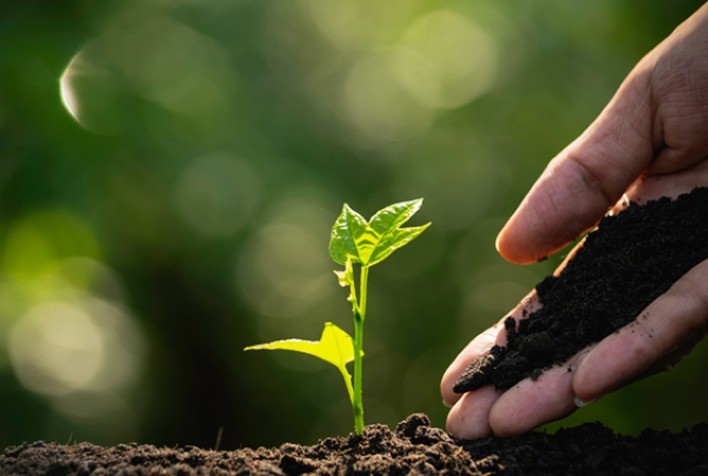 Antes do plantio: como o planejamento e o manejo integrado garantem produtividade e reduzem prejuízos