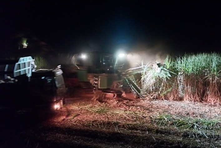 Colheita noturna mantém produção de cana-de-açúcar ativa e garante ritmo das usinas mesmo sob clima adverso