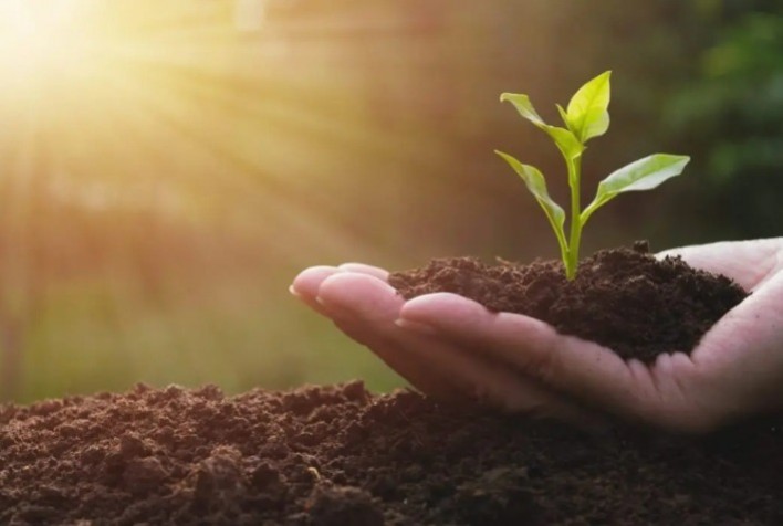 Agronegócio investe em fertilizantes biológicos para fortalecer solos e ampliar produtividade